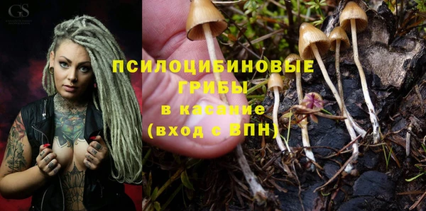 спайс Белоозёрский