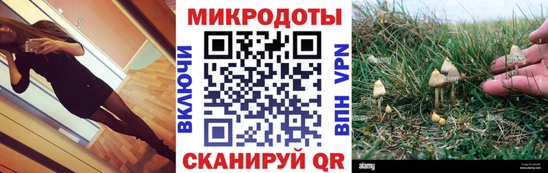 Псилоцибиновые грибы мухоморы  ОМГ ОМГ зеркало  Салаир 